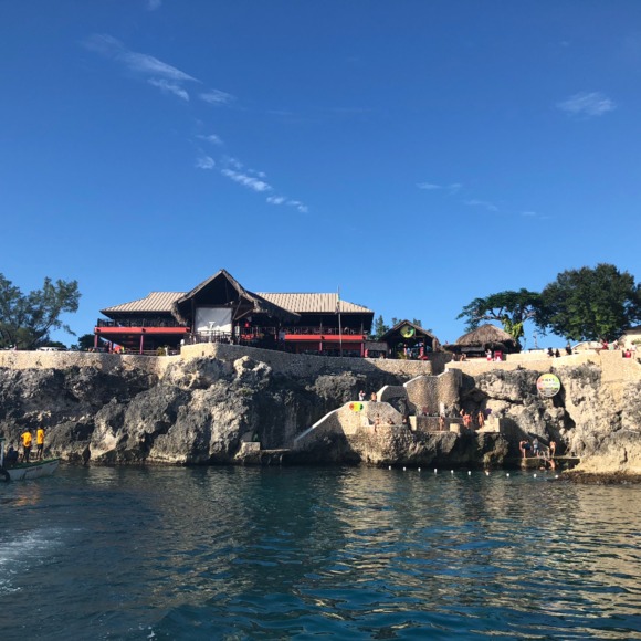 Meet your Posher, Ebonne - Picture 1 of 1